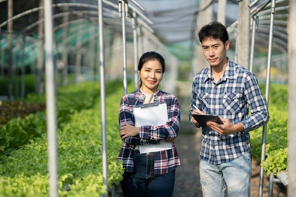 Conseils pratiques pour une entreprise de jardinage réussie